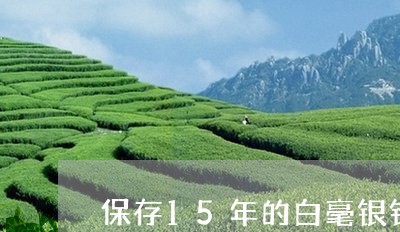 保存15年的白毫银针价格/2023033162837