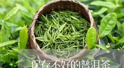 保存不好的普洱茶/2023041366160