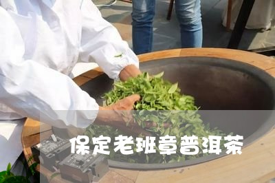 保定老班章普洱茶/2023031796060