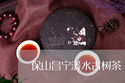 保山昌宁漭水古树茶/2023032117471