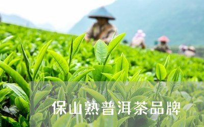 保山熟普洱茶品牌/2023041191704