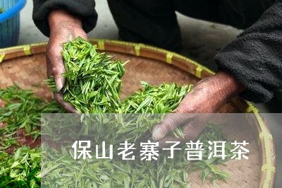 保山老寨子普洱茶/2023040926069