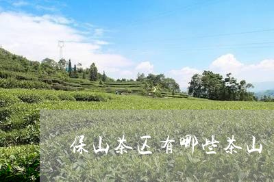 保山茶区有哪些茶山/2023032016257