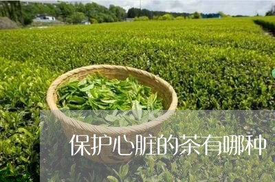 保护心脏的茶有哪种/2023031943917