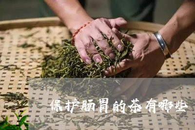 保护肠胃的茶有哪些/2023032024960