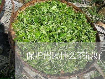 保护胃喝什么茶最好/2023041528573