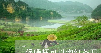 保暖杯可以泡红茶吗/2023031955959