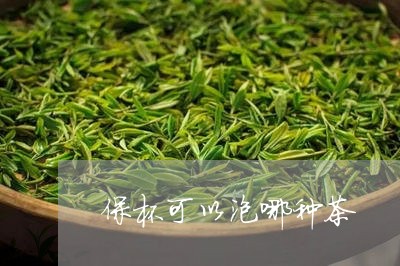 保杯可以泡哪种茶/2023041598582