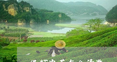 保杯泡茶怎么清洗/2023032057147