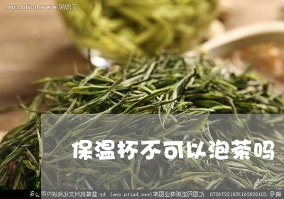 保温杯不可以泡茶吗/2023041604816