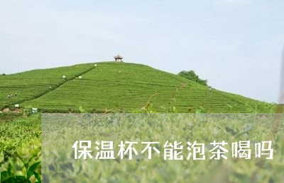 保温杯不能泡茶喝吗/2023041638384