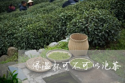 保温杯可不可以泡茶/2023041692826