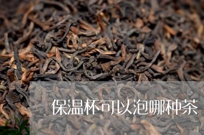 保温杯可以泡哪种茶/2023031957370