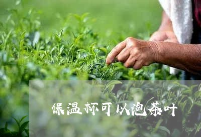 保温杯可以泡茶叶/2023032789827