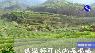 保温杯可以泡茶喝吗/2023032057271