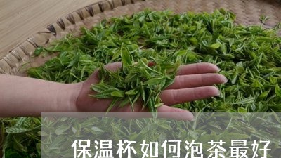 保温杯如何泡茶最好/2023041652795