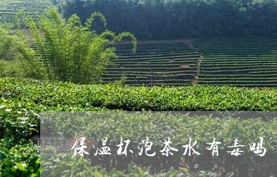 保温杯泡茶水有毒吗/2023032028284