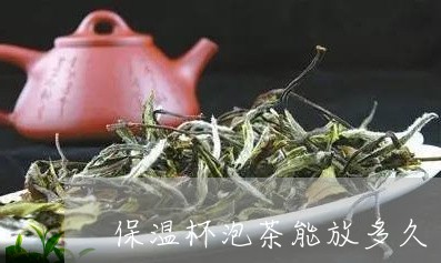 保温杯泡茶能放多久/2023032007480