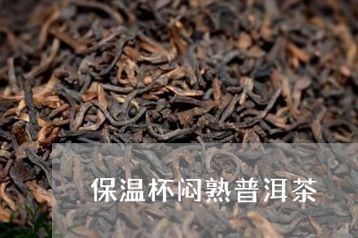 保温杯闷熟普洱茶/2023033104926