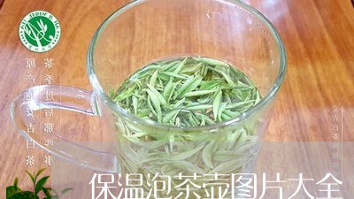 保温泡茶壶图片大全/2023041660495