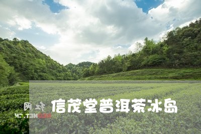 信茂堂普洱茶冰岛/2023041358462