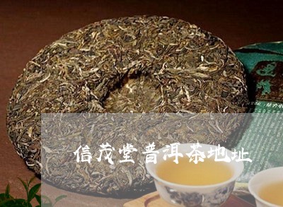 信茂堂普洱茶地址/2023031736948