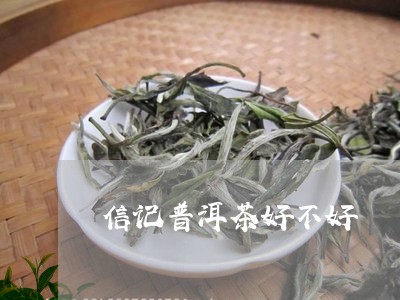 信记普洱茶好不好/2023033026370