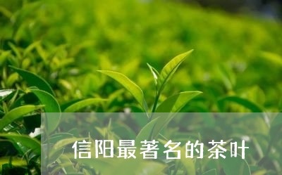 信阳最著名的茶叶/2023032684048