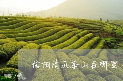 信阳清风茶山在哪里/2023041675283