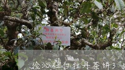 俭沁社白牡丹茶饼350克/2023033183825