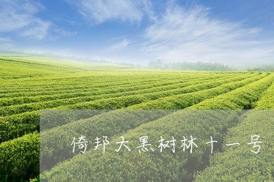 倚邦大黑树林十一号/2023041673046