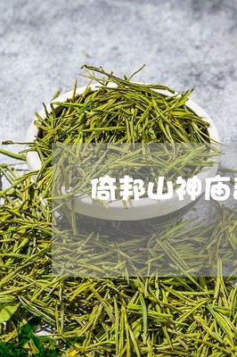 倚邦山神庙普洱茶/2023031626158