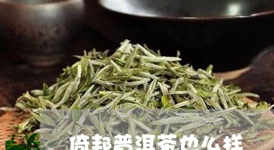 倚邦普洱茶也么样/2023033197595