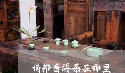 倚邦普洱茶在哪里/2023040135058