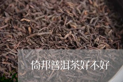 倚邦普洱茶好不好/2023033137294