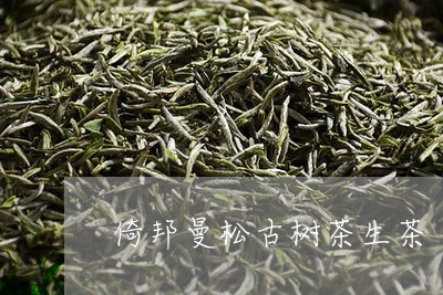 倚邦曼松古树茶生茶/2023041412258