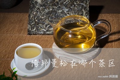 倚邦曼松在哪个茶区/2023031996271