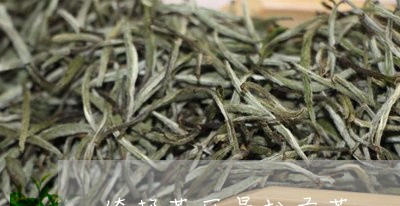 倚邦茶区曼松贡茶/2023032290694