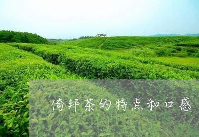 倚邦茶的特点和口感/2023032151594