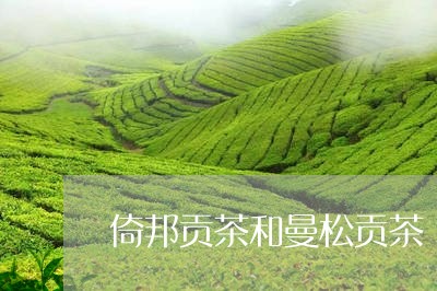 倚邦贡茶和曼松贡茶/2023041659261