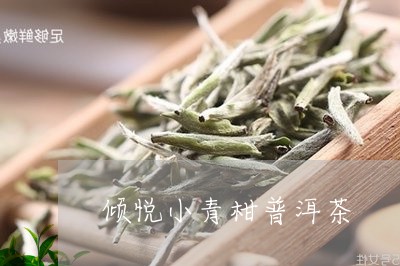 倾悦小青柑普洱茶/2023033069425