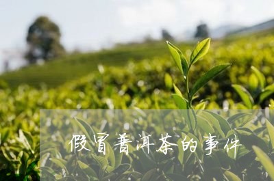 假冒普洱茶的事件/2023041083925