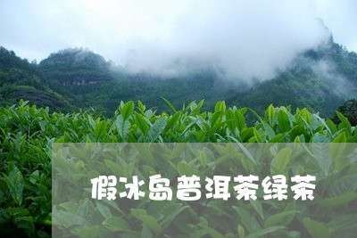 假冰岛普洱茶绿茶/2023041332714