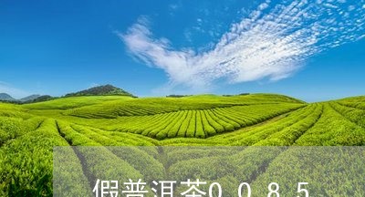 假普洱茶0085/2023041045037