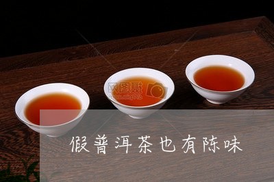 假普洱茶也有陈味/2023040103927