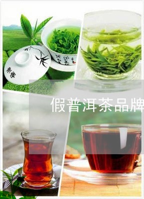 假普洱茶品牌店铺/2023041308151