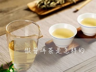 假普洱茶是怎样的/2023031856938