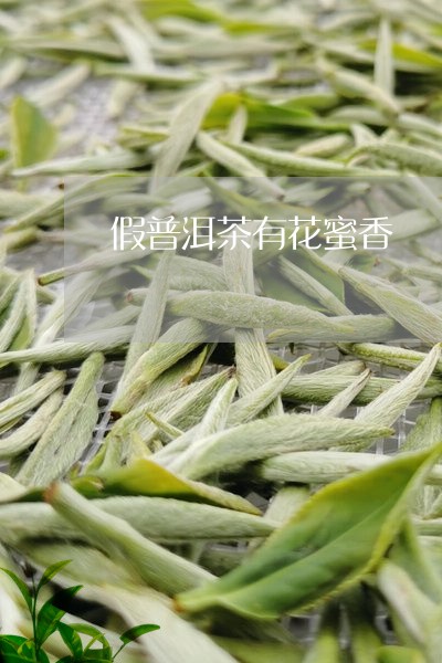 假普洱茶有花蜜香/2023033190615