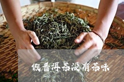 假普洱茶没有茶味/2023031670693