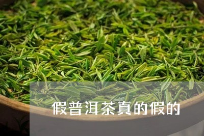 假普洱茶真的假的/2023033115915